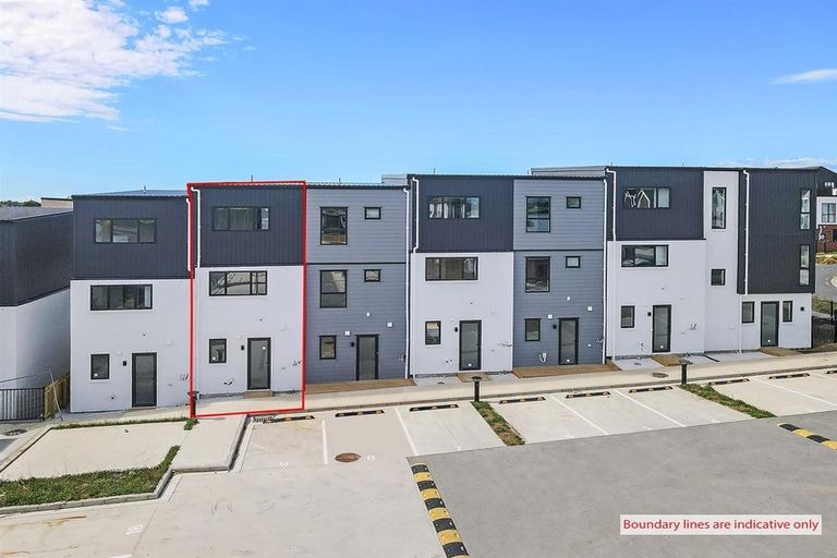 Photo of property in 19 Treeline Lane, Flat Bush, Auckland, 2019