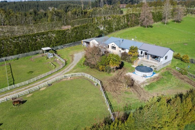 Photo of property in 21 Williams Road South, Pyes Pa, Tauranga, 3173