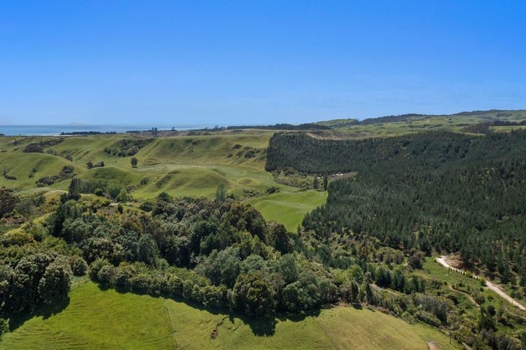 Photo of property in 320b Pikowai Road, Pikowai, Whakatane, 3194