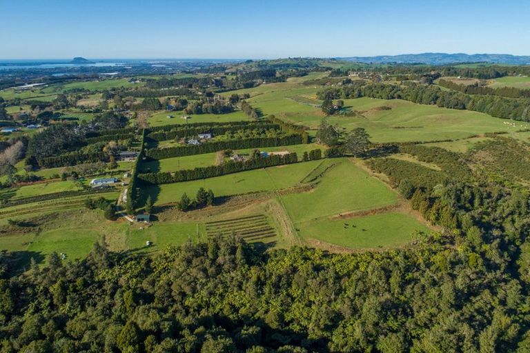 Photo of property in 9d Mcquade Road, Whakamarama, Tauranga, 3179