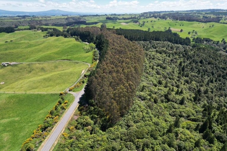 Photo of property in 1401 Whangamata Road, Marotiri, Taupo, 3377