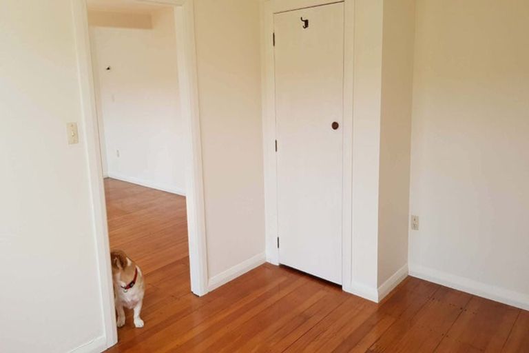 Photo of property in 77 Wilton Road, Wilton, Wellington, 6012