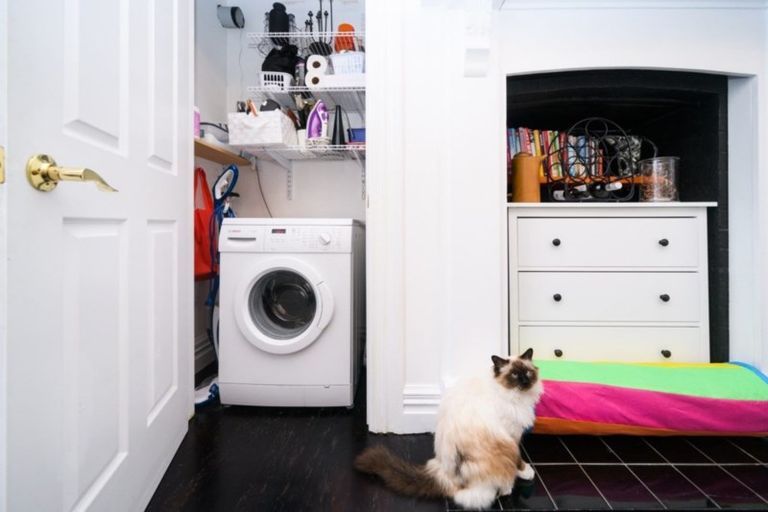 Photo of property in 11 Limbrick Street, Terrace End, Palmerston North, 4410