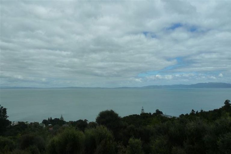 Photo of property in 45 Otuturu Crescent, Ruamahunga, Thames, 3575