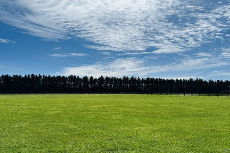 Photo of property in 17 Beal Place, Swannanoa, 7692