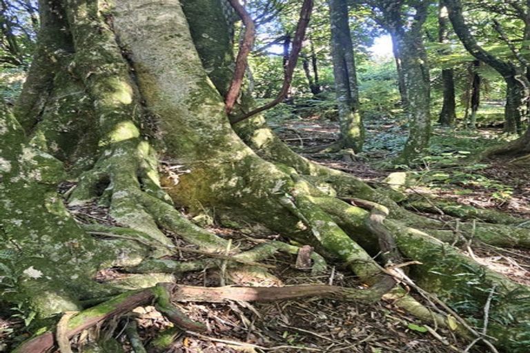 Photo of property in 326 Sainsbury Road, Pirongia, 3876