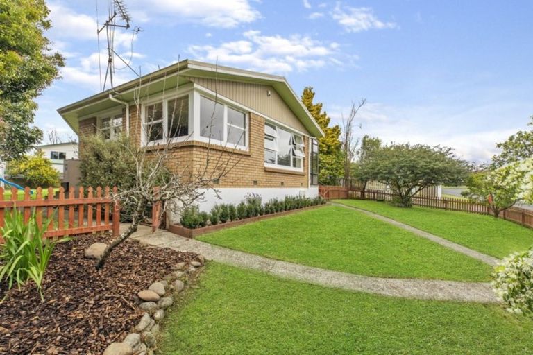 Photo of property in 38 Pelorus Street, Glenview, Hamilton, 3206