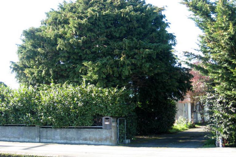 Photo of property in 419 High Street South, Carterton, 5713