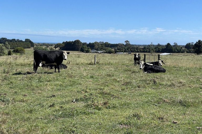 Photo of property in 61 Mickell Road, Hautere, Otaki, 5582
