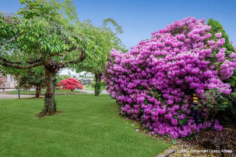 Photo of property in 11 Mark Place, Lynmore, Rotorua, 3010