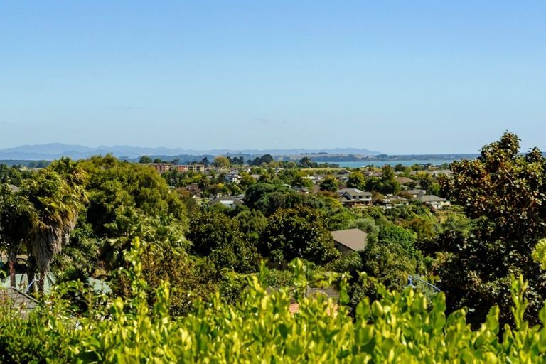 Photo of property in 15 Sterling Gate Drive, Bethlehem, Tauranga, 3110
