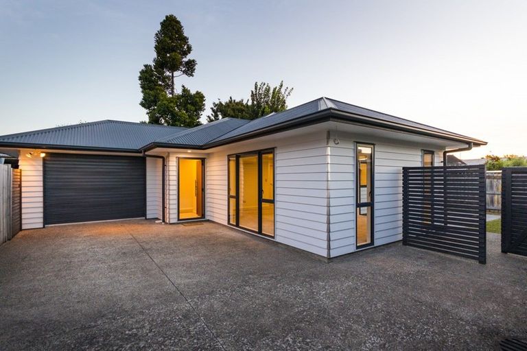 Photo of property in 63b Weston Avenue, Roslyn, Palmerston North, 4414