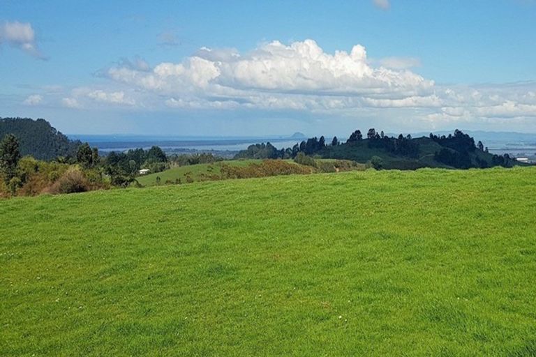 Photo of property in 804 Woodlands Road, Waihi, 3682