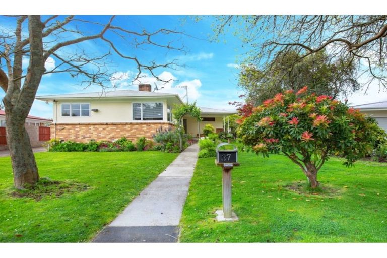 Photo of property in 37 Haultain Street, Fairfield, Hamilton, 3214