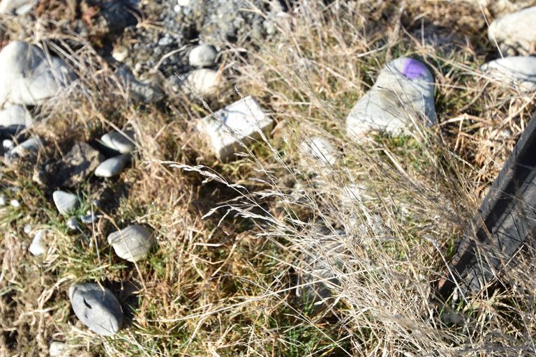 Photo of property in 12a Temple Drive, Twizel, 7901