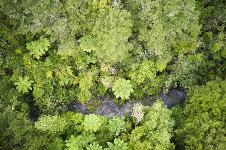 Photo of property in 52c Williams Road South, Pyes Pa, Tauranga, 3173