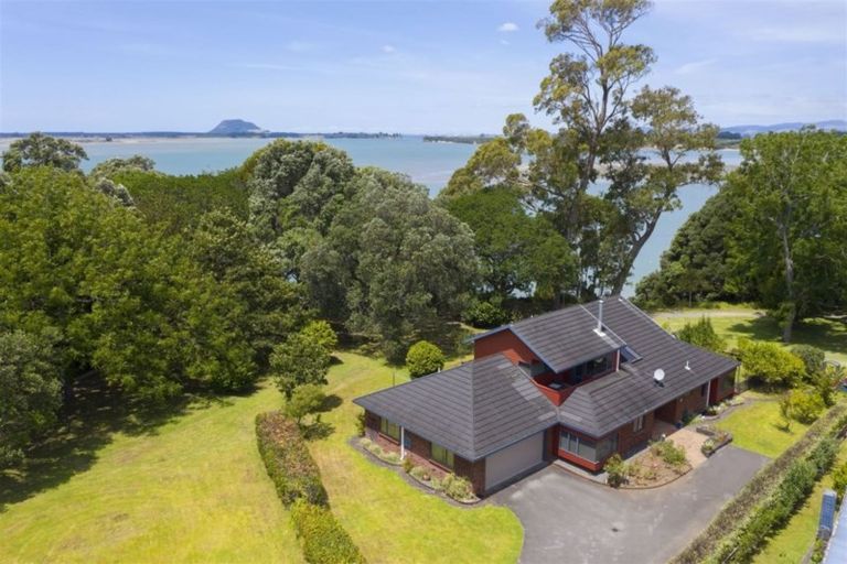 Photo of property in 22 Myrtle Drive, Omokoroa, 3114