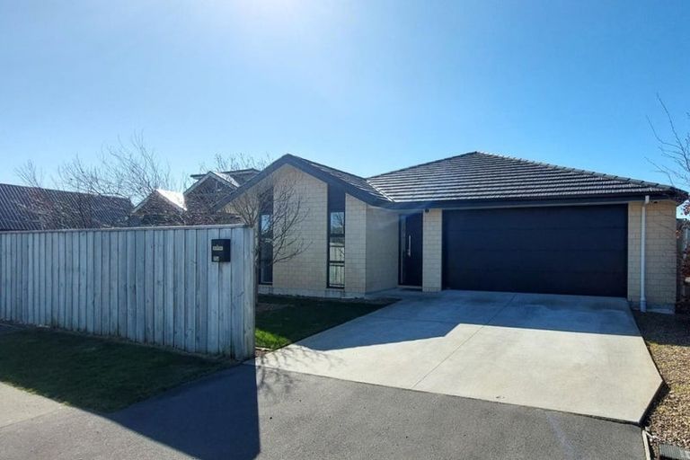 Photo of property in 256 Lyttelton Street, Spreydon, Christchurch, 8024