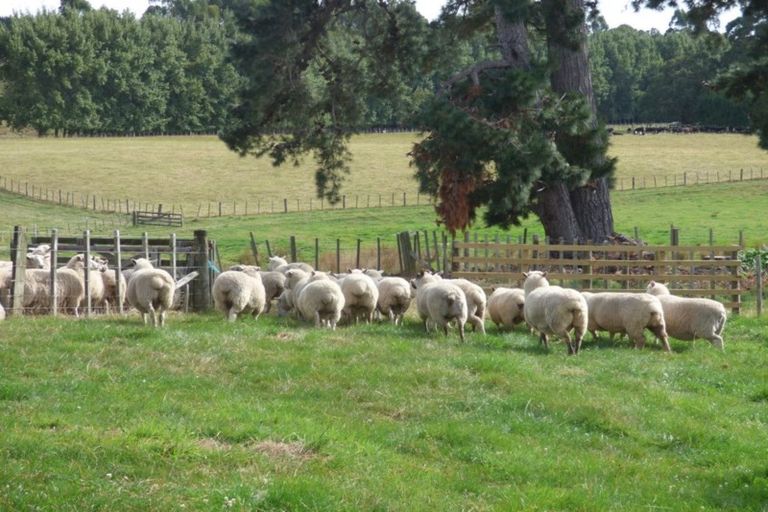 Photo of property in 42a Forest Hill Road, Aokautere, Palmerston North, 4471