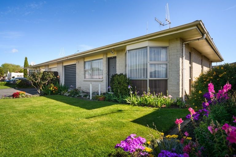 Photo of property in 633b Ferguson Street, Terrace End, Palmerston North, 4410
