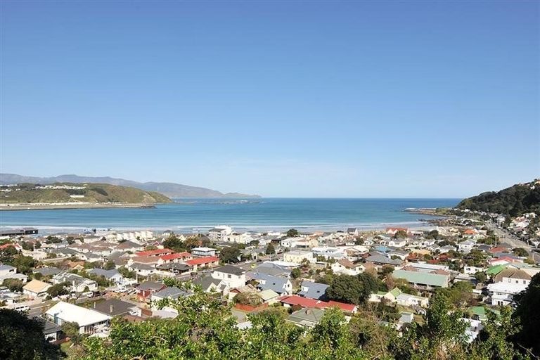 Photo of property in 45 Carlton Street, Melrose, Wellington, 6023