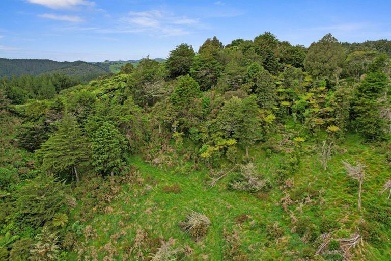 Photo of property in 1859 Waingaro Road, Waingaro, Ngaruawahia, 3793