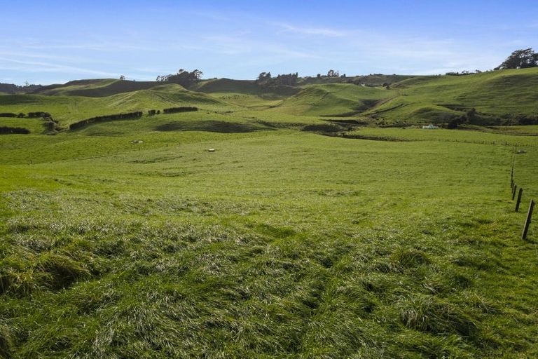 Photo of property in 1234 Richmond Road, Everett Park, Inglewood, 4389