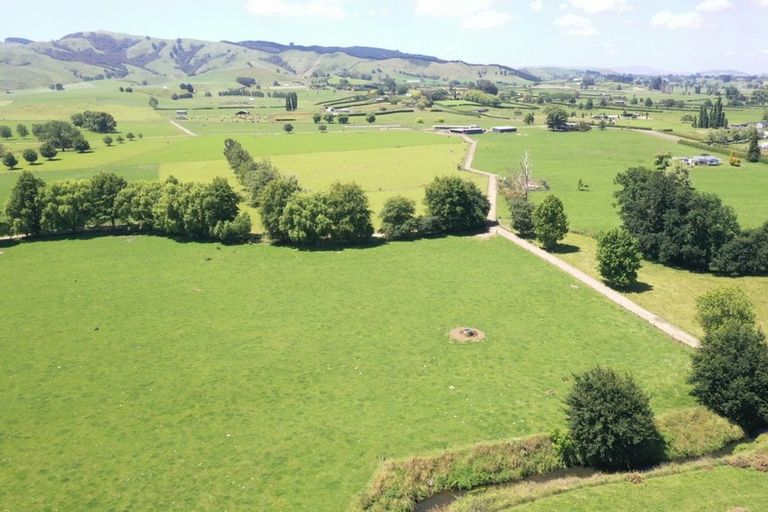 Photo of property in 231 Grice Road, Rotoorangi, Cambridge, 3495