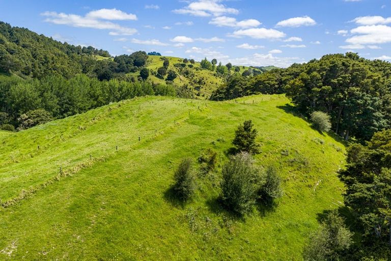 Photo of property in 278 Griffin Road, Maungaturoto, 0583