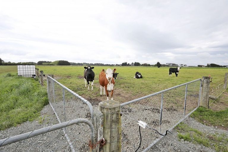 Photo of property in 86 Steel Road, West Plains, Invercargill, 9874