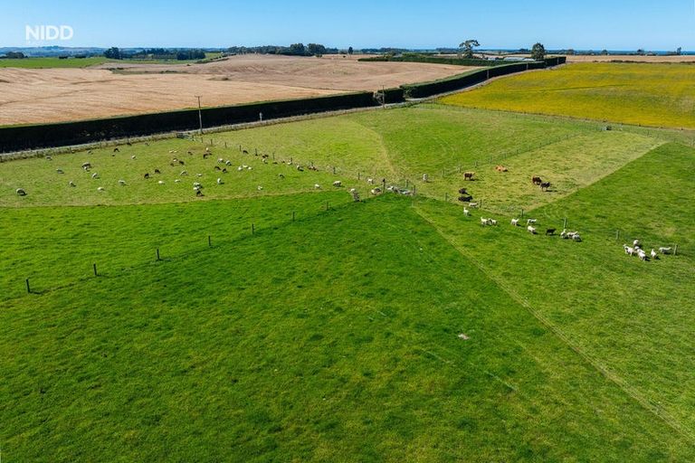 Photo of property in 56 Burgess Road, Herbert, Oamaru, 9495