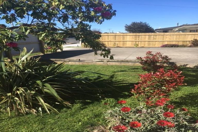 Photo of property in 155 Scott Street, Redwoodtown, Blenheim, 7201