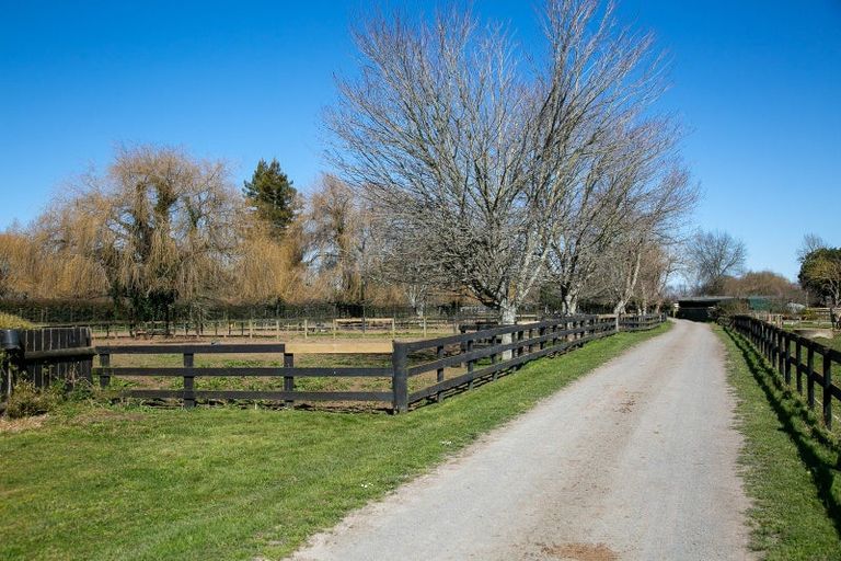 Photo of property in 49 Racecourse Road, Cambridge, 3493