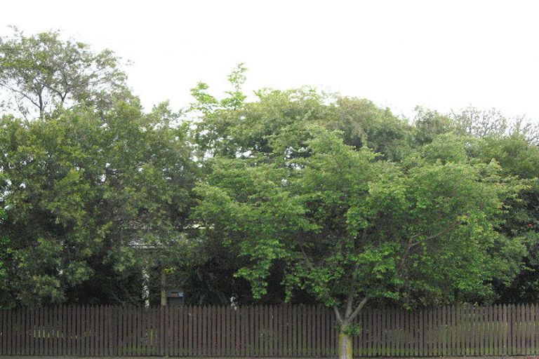 Photo of property in 156 Middle Renwick Road, Springlands, Blenheim, 7201