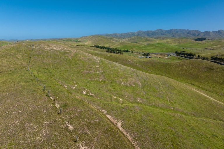 Photo of property in 363 Caseys Road, Lake Grassmere, Seddon, 7285