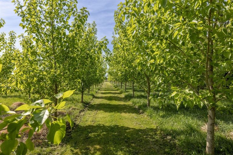 Photo of property in 304 Stokes Road, Balcairn, Amberley, 7481