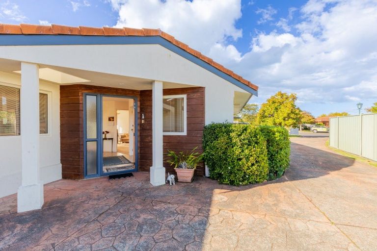 Photo of property in 11a Cheval Place, Taradale, Napier, 4112