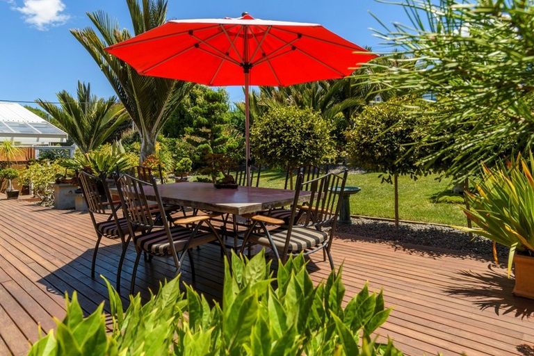 Photo of property in 19 Briarley Street, Tauranga South, Tauranga, 3112