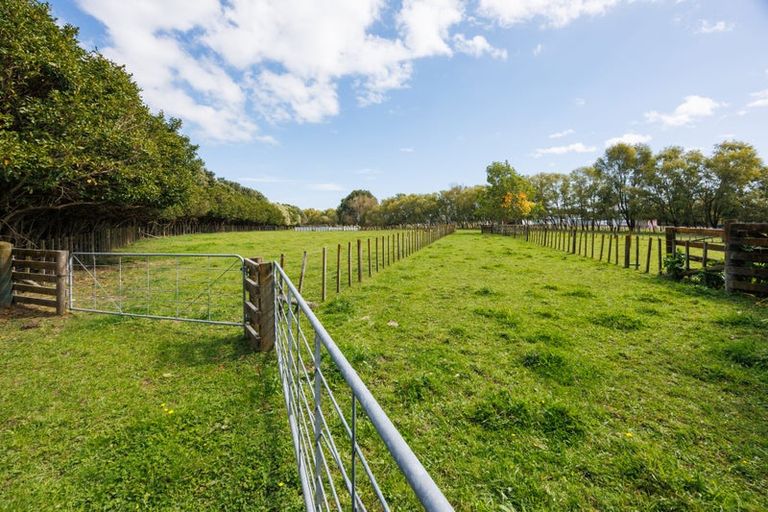 Photo of property in 846 Colyton Road, Bunnythorpe, Feilding, 4775
