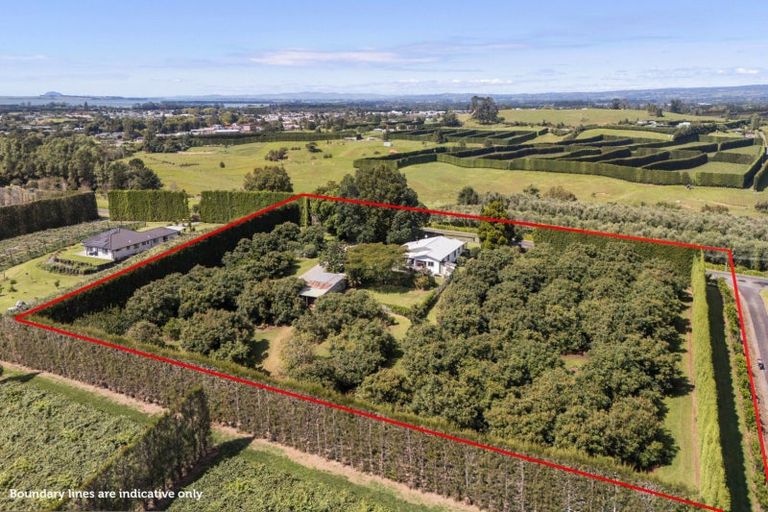 Photo of property in 96 Lindemann Road, Tahawai, Katikati, 3170