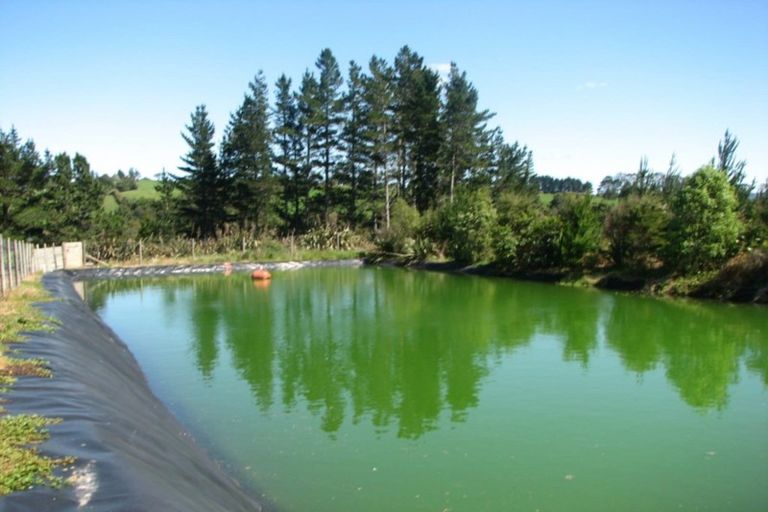 Photo of property in 1082 Te Matai Road, Te Ranga, Te Puke, 3188