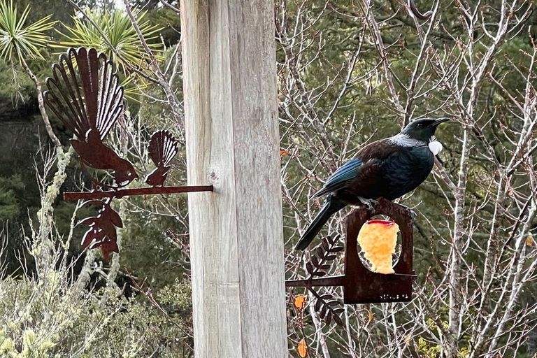 Photo of property in 14 Moore Street, Hillcrest, Auckland, 0627