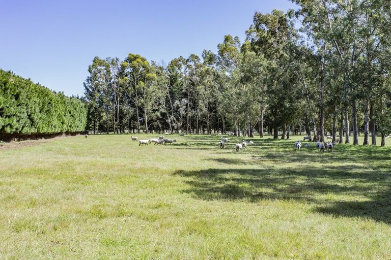 Photo of property in 1764 Tram Road, Swannanoa, Rangiora, 7475