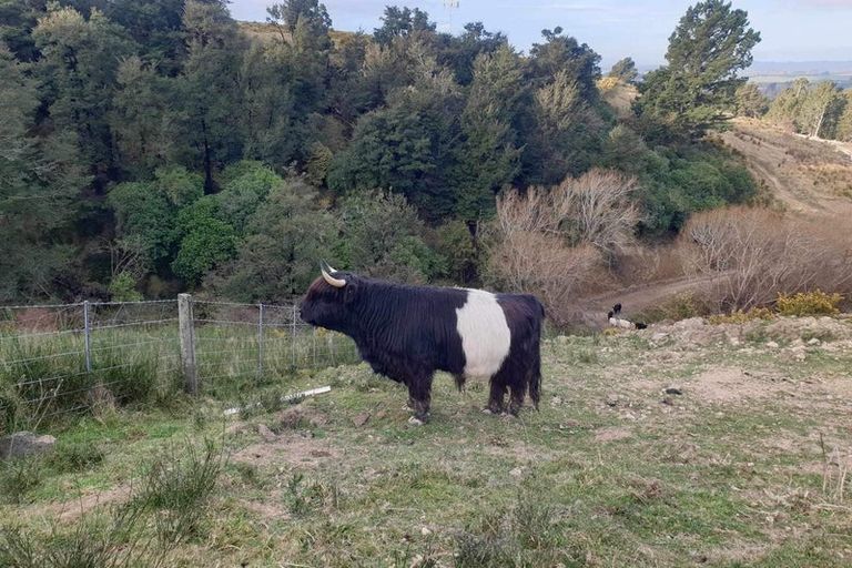 Photo of property in 759 Bay Road, Oxford, 7430