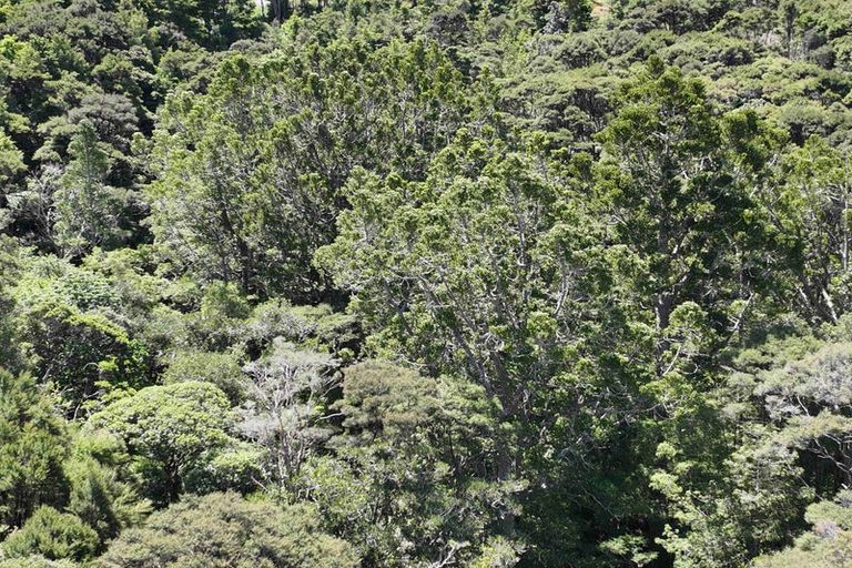 Photo of property in 113a Taemaro Road, Hihi, Mangonui, 0494