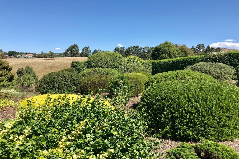 Photo of property in 110 District Road, Palmerston, 9430