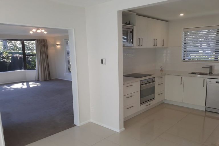 Photo of property in 17 Norfolk Street, St Albans, Christchurch, 8052