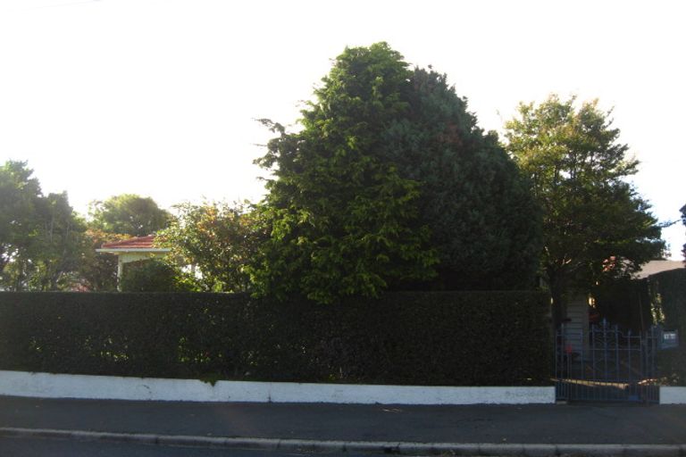 Photo of property in 161 Elgin Road, Maryhill, Dunedin, 9011