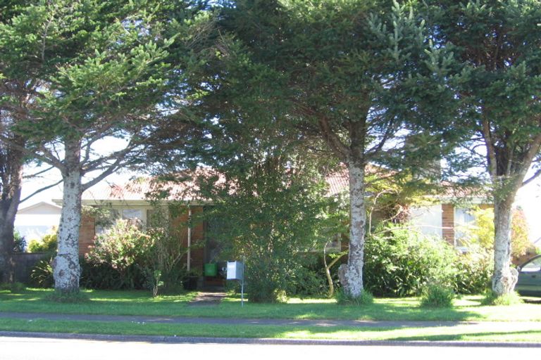 Photo of property in 398 Maungatapu Road, Maungatapu, Tauranga, 3112