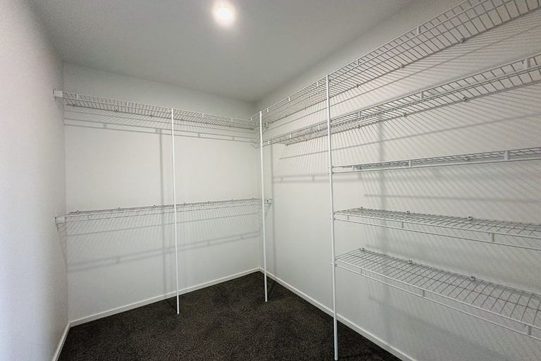 Photo of property in 24 Lissette Road, Newstead, Hamilton, 3286